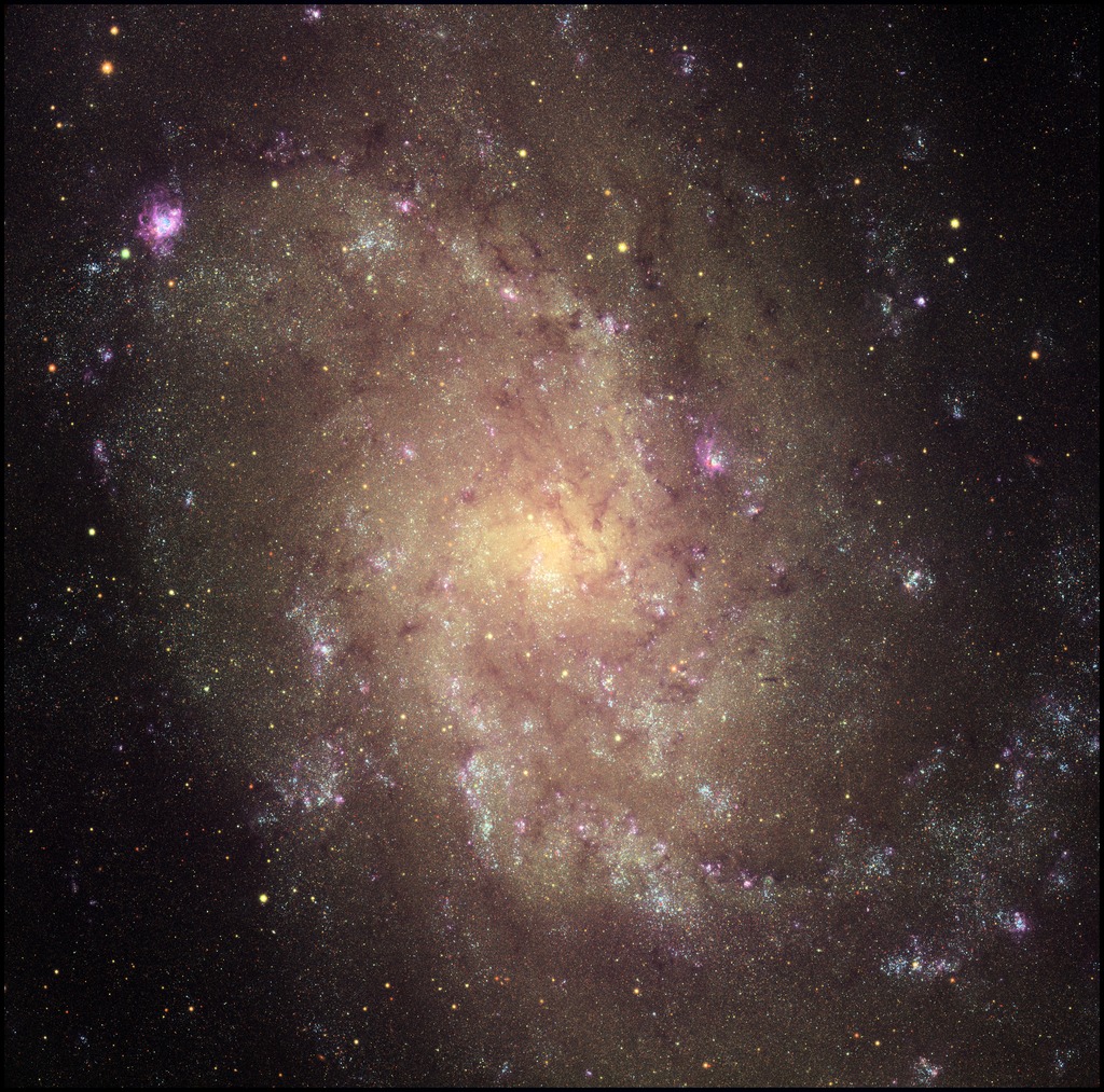 M33 image